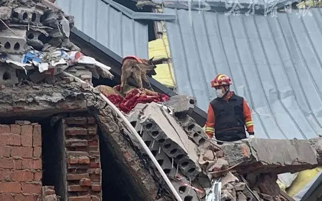 哈爾濱坍塌事故，引發老舊小區改造問題新思考